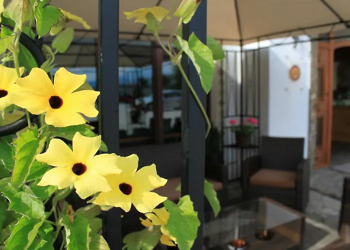 Airporthotel Salzburg - Hotel Am Salzburg Airport